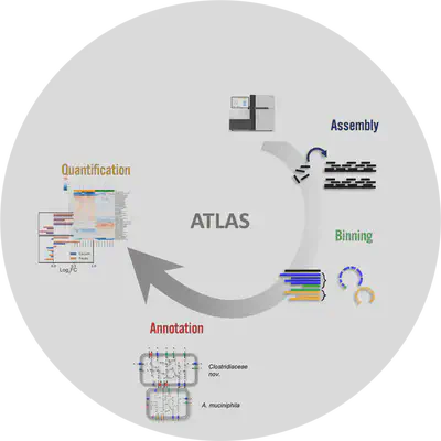 Scheme of workflow